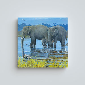Bath Time - Indian Elephant Blank Greeting card by Steve Cale