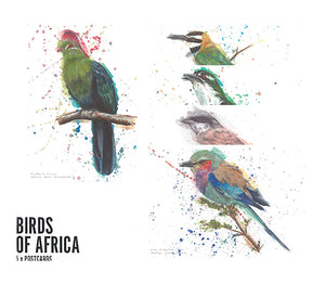 Birds Of Africa Postcards, watercolour designs by Dan Bradbury 