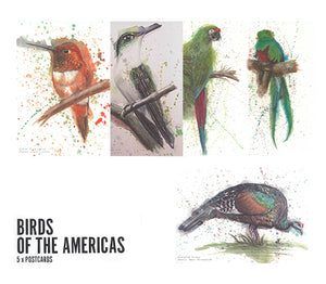 Pack of 5 Birds of the America Postcards featuring watercolour designs by Dan Bradbury. 1 x Occelated Turkey 1 x White-Bellied Emerald 1 x Military Macaw 1 x Rufous Hummingbird 1 x Resplendent Quetzal 